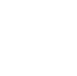 CPX Consulting