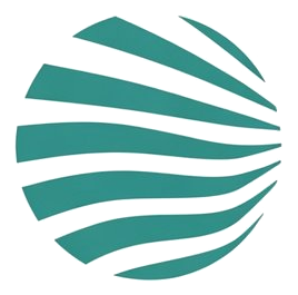 CPX Consulting